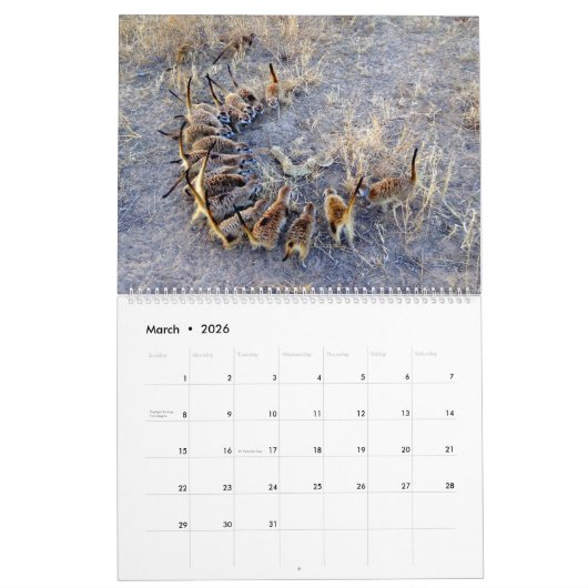 KMP Meerkats - Agenda 2018 Kalender (Mar 2026)