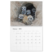KMP Meerkats - Agenda 2018 Kalender (Feb 2026)