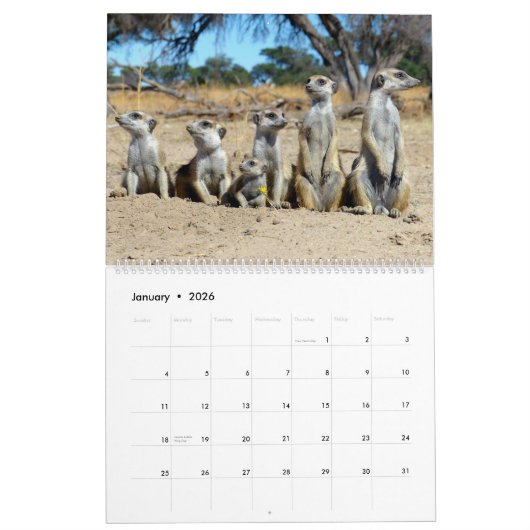 KMP Meerkats - Agenda 2018 Kalender (Jan 2026)