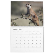 KMP Meerkats Agenda 2023 Kalender (Jan 2026)