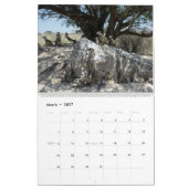 KMP Meerkats Agenda 2023 Kalender (Mar 2027)