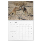 KMP Meerkats Kalender 2024 (Feb 2027)
