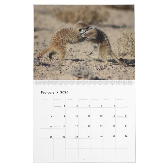 KMP Meerkats Kalender 2024 (Feb 2026)