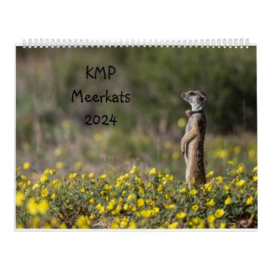 KMP Meerkats Kalender 2024 (Hoes)