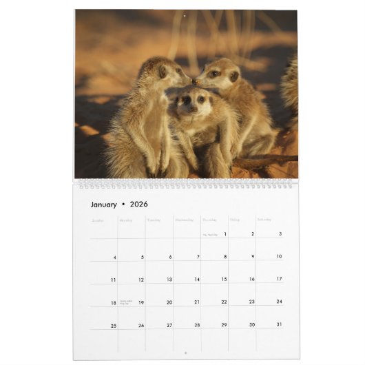 KMP Meerkats Kalender 2024 (Jan 2026)