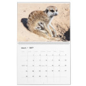 KMP Meerkats Kalender 2024 (Mar 2027)