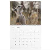 KMP Stokstaartjes 2026 Kalender (Mar 2027)