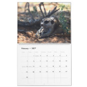 KMP Stokstaartjes 2026 Kalender (Feb 2027)