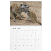 KMP Stokstaartjes 2026 Kalender (Jan 2027)