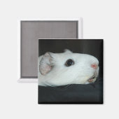 knabbelmagneet magneet (Voorkant / Achterkant)