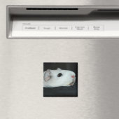 knabbelmagneet magneet (Insitu (Vaatwasser))