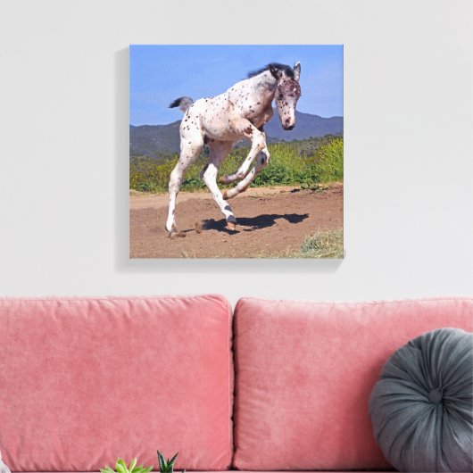 Knabstrupper Colt Canvas Afdruk (Insitu (Woonkamer))