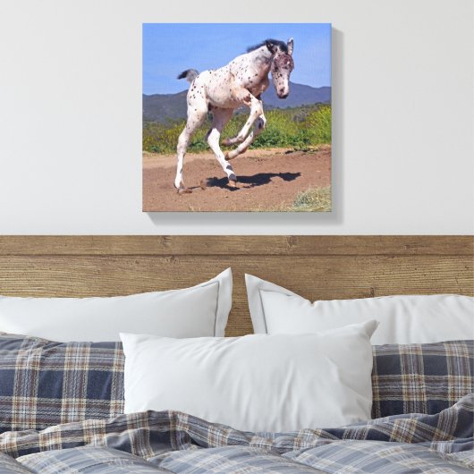 Knabstrupper Colt Canvas Afdruk (Insitu (Slaapkamer))