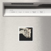 Knabstrupper Colts Magnet (Insitu (Vaatwasser))