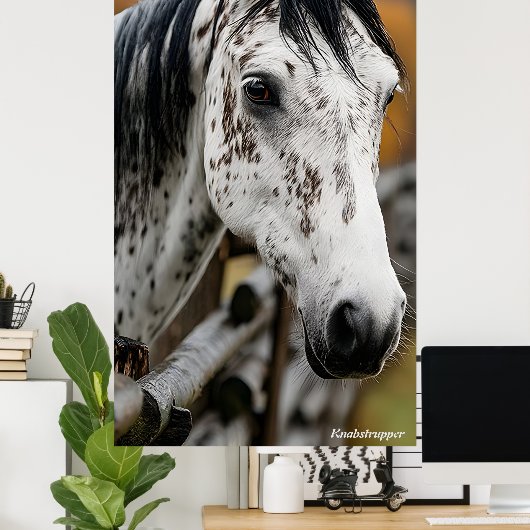 Knabstrupper Poster (Thuiskantoor)