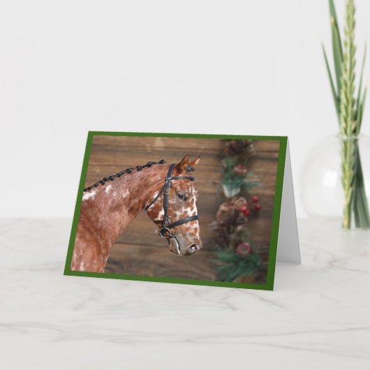 Knabstrupper Stallion Horse Kerstfeestdag Kaart (Voorkant)