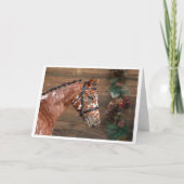 Knabstrupper Stallion Horse Kerstfeestdag Kaart (Voorkant)