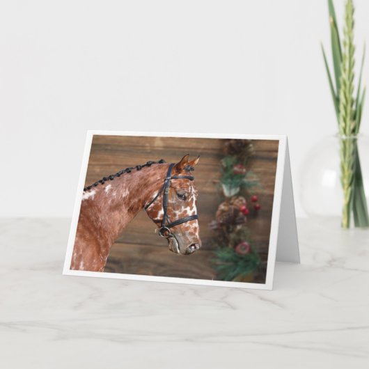 Knabstrupper Stallion Horse Kerstfeestdag Kaart (Voorkant)