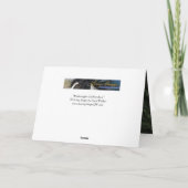 Knabstrupper Stallion loopt paard Wenskaart Kaart (Achterkant)