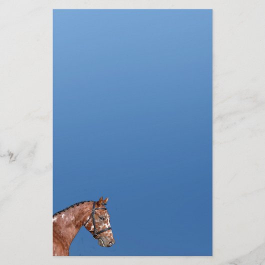 Knabstrupper Stallion Stationery Paper Blue Briefpapier (Voorkant)