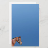 Knabstrupper Stallion Stationery Paper Blue Briefpapier (Voorkant / Achterkant)