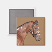 Knabstupper Stallion Magnet (Voorkant / Achterkant)