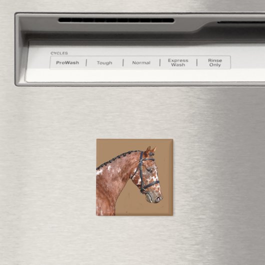 Knabstupper Stallion Magnet (Insitu (Vaatwasser))