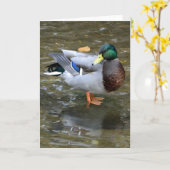 Knap Mallard Duck Wenskaart Kaart (Gele Bloem)