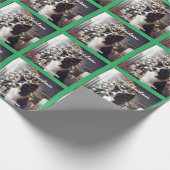 Knappe Border Collie en Kerstboom Cadeaupapier (Hoek)