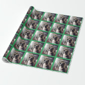 Knappe Border Collie en Kerstboom Cadeaupapier (Uitgerold)