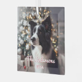 Knappe Border Collie en Kerstboom Glas Ornament (Voorkant links)