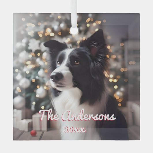 Knappe Border Collie en Kerstboom Glas Ornament (Voorkant)
