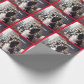 Knappe Border Collie en Kerstboom Rood Cadeaupapier (Hoek)