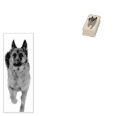 Knappe Duitse Herder Running Rubberstempel (Gestempeld)