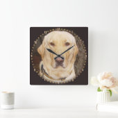 Knappe Gele Lab Rond Klok (Huis)