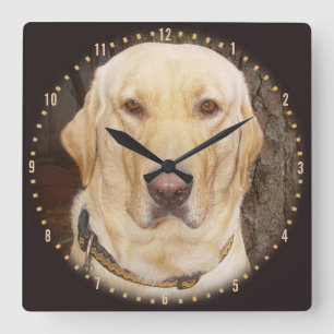 Knappe Gele Lab Rond Klok