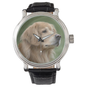 Knappe Golden Retriever Dog in Closeup Horloge