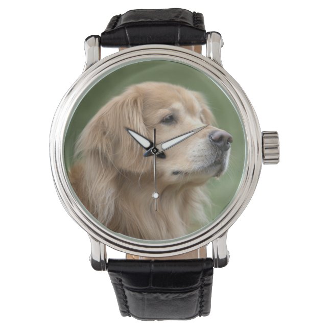 Knappe Golden Retriever Dog in Closeup Horloge (Voorkant)