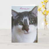 Knappe grijze en witte kat kaart (Gele Bloem)