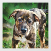 Knappe Husky Mix Puppy Window Cling Raamsticker (Vel)