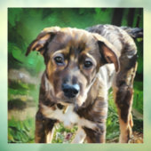 Knappe Husky Mix Puppy Window Cling Raamsticker (Vel 3)