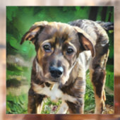 Knappe Husky Mix Puppy Window Cling Raamsticker (Vel 2)