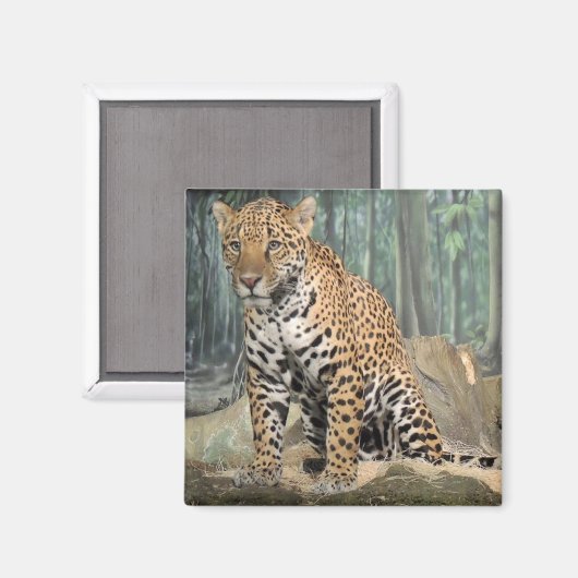 Knappe Jaguar Magneet (Voorkant / Achterkant)