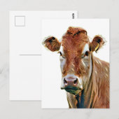 KNAPPE KOe Briefkaart (Voorkant / Achterkant)