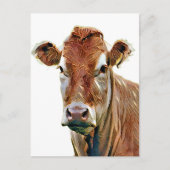 KNAPPE KOe Briefkaart (Voorkant)