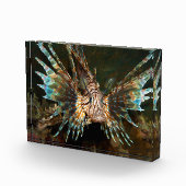 Knappe lionfish! Zeer dichte en intense foto |  (Rechts)