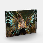 Knappe lionfish! Zeer dichte en intense foto |  (Links)