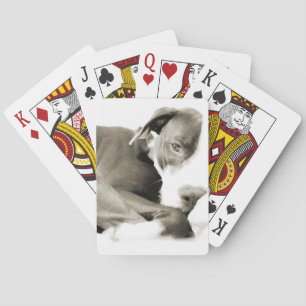 knappe , luie hond pokerkaarten