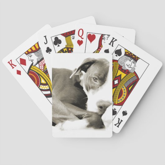 knappe , luie hond pokerkaarten (Achterkant)