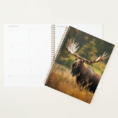 Knappe Moose Planner (Display)
